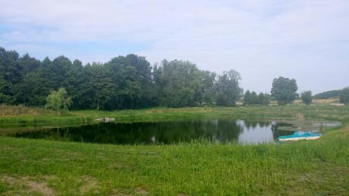 Alrededores, Kozlow Park in Malogoszcz Alrededores, Kozlow Park in Malogoszcz