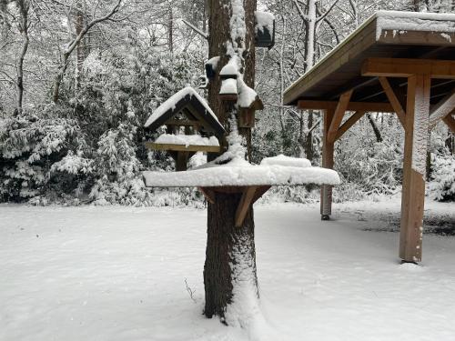 De Brandaris in Noordenveld De Brandaris in Noordenveld