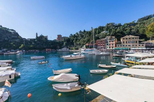 Portofino Above the Sea in Portofino Portofino Above the Sea in Portofino