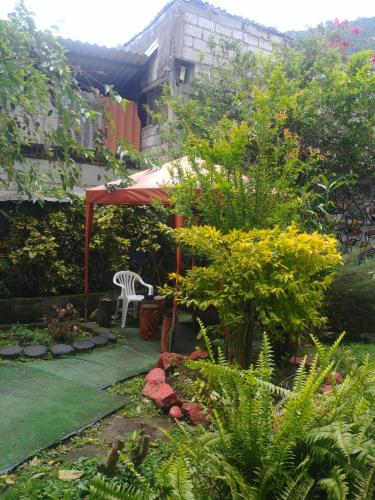 Vistas, Transilvania in Banos Vistas, Transilvania in Banos