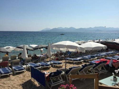 شاطئ, Boutique Hotel Couleurs Suds in لو سوكينت البلدة القديمة شاطئ, Boutique Hotel Couleurs Suds in لو سوكينت البلدة القديمة