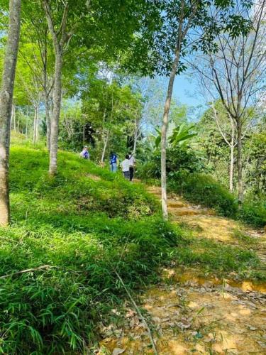 Αθλήματα και δραστηριότητες, Διαμέρισμα 28 τ.μ. με 1 υπνοδωμάτιο/α και 1 ιδιωτικό/ά μπάνιο/α σε Τουνγκ Σονγκ (Makorn Nonkleng ) in Τουνγκ Σονγκ Αθλήματα και δραστηριότητες, Διαμέρισμα 28 τ.μ. με 1 υπνοδωμάτιο/α και 1 ιδιωτικό/ά μπάνιο/α σε Τουνγκ Σονγκ (Makorn Nonkleng ) in Τουνγκ Σονγκ