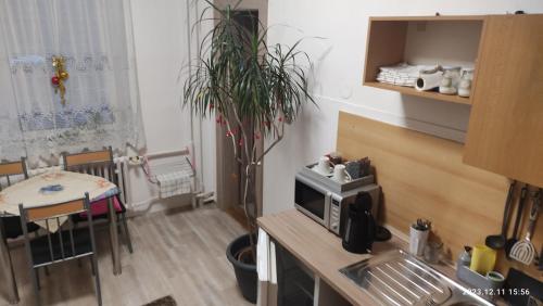 Cocina, Penzion PALMA in Frydlant Nad Ostravici Cocina, Penzion PALMA in Frydlant Nad Ostravici