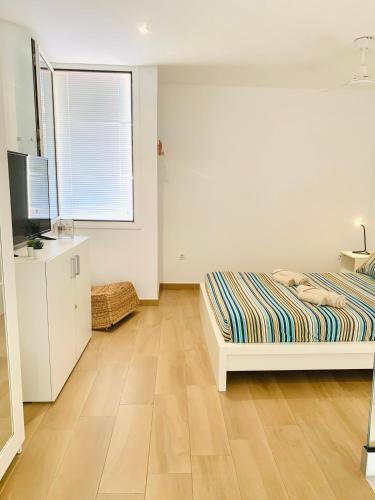 Dream Holiday Las Americas