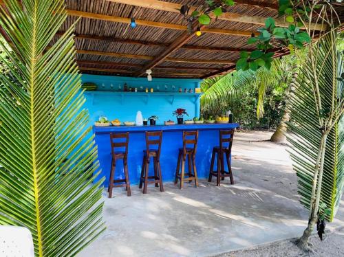 Bar/lounge, Eco Hotel Las Palmeras in Rosario Islands Bar/lounge, Eco Hotel Las Palmeras in Rosario Islands
