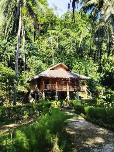 Nuts Huts in Loboc Nuts Huts in Loboc