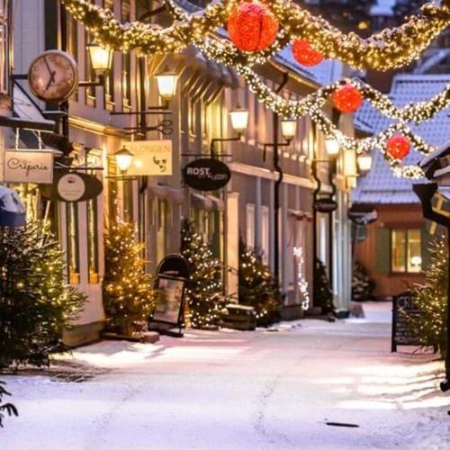 Lovely studio in the citycenter of Sigtuna in Sigtuna Lovely studio in the citycenter of Sigtuna in Sigtuna