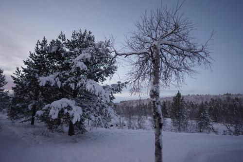 Aussicht, Muotkan Ruoktu Tunturikyla in Inari Aussicht, Muotkan Ruoktu Tunturikyla in Inari