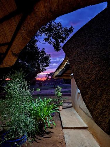 Rodyti, The Farm Shop in Grutfonteinas Rodyti, The Farm Shop in Grutfonteinas