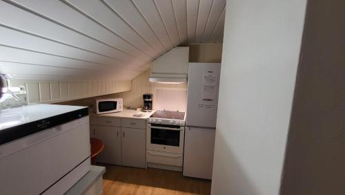 Konyha, Apt. 301 - Andenes Whale Safari Apartments in Andenes Konyha, Apt. 301 - Andenes Whale Safari Apartments in Andenes