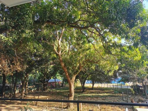 Apto 2 Tamarindo GuanaFree in Tamarindo Apto 2 Tamarindo GuanaFree in Tamarindo