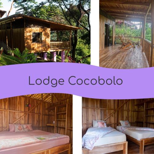 外部景觀, Finca Colibri Ecolodges en Pleine Nature ferry Playa Najanjo Costa Rica in 大蒙塔納 外部景觀, Finca Colibri Ecolodges en Pleine Nature ferry Playa Najanjo Costa Rica in 大蒙塔納