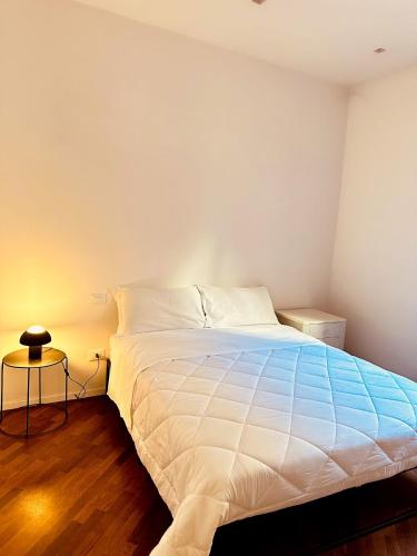 whouse large suite apartment indipendenza