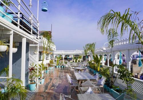 Μπαλκόνι/βεράντα, Moustache Hostel Udaipur in Udaipur Μπαλκόνι/βεράντα, Moustache Hostel Udaipur in Udaipur