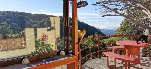 View, Mora's Place B&B in Monteverde View, Mora's Place B&B in Monteverde