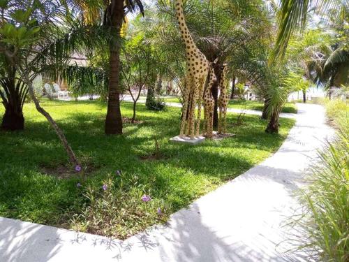 Les Hibiscus sur Mer in קאפ סקירינג Les Hibiscus sur Mer in קאפ סקירינג