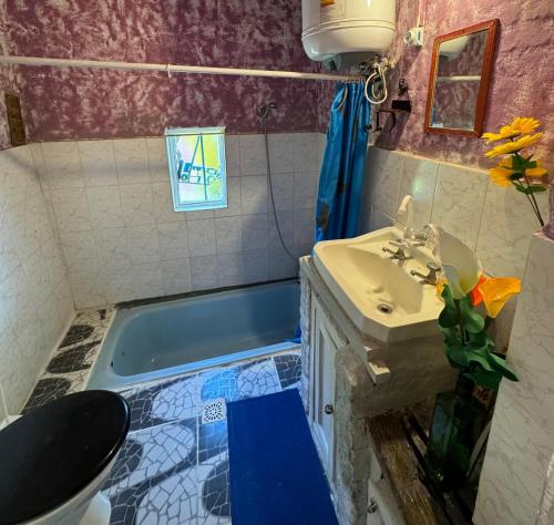 Biodiversidad in La Pedrera Biodiversidad in La Pedrera