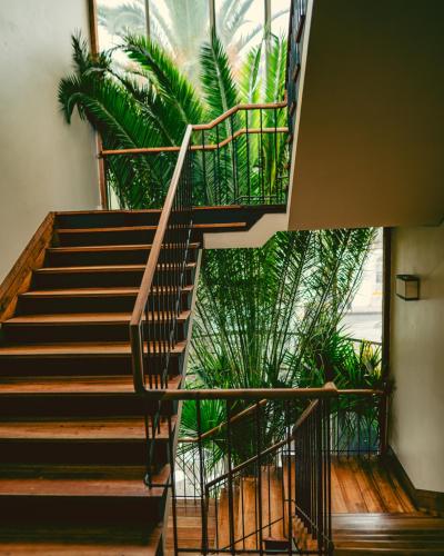 Hotel Boutique Raices in Curico Hotel Boutique Raices in Curico