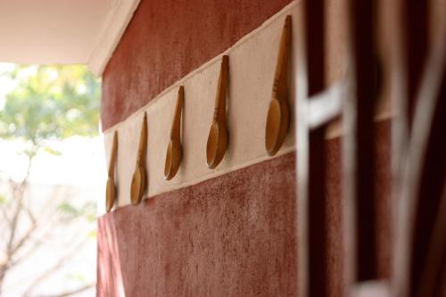 This photo about Madidi Lodge shared on HyHotel.com