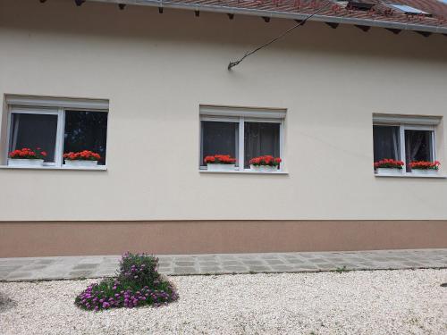 Bella Apartman in Petofitelep Bella Apartman in Petofitelep