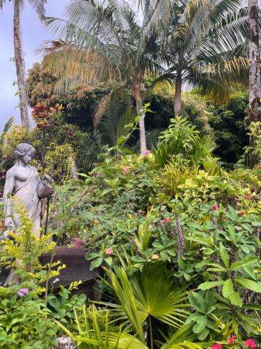 Kert, LaKour Fleurie Chambres d hôtes (LaKour Fleurie Chambres d hotes) in Sainte Rose Kert, LaKour Fleurie Chambres d hôtes (LaKour Fleurie Chambres d hotes) in Sainte Rose