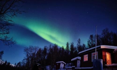 Cozy and spacious cabin in Svensby Cozy and spacious cabin in Svensby