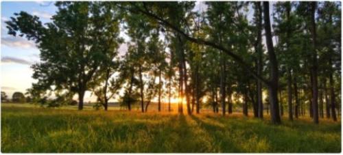 All Seasons Country Lodge in Taree All Seasons Country Lodge in Taree