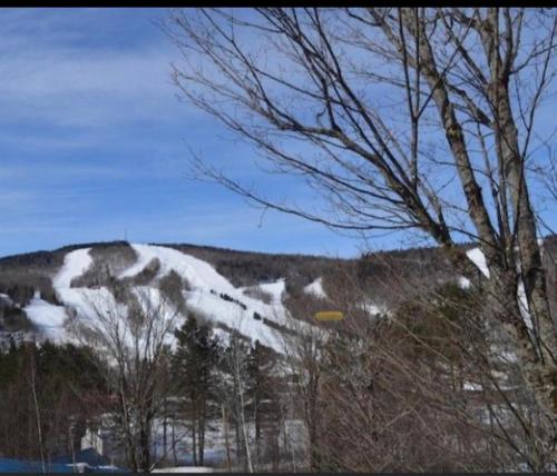 Condo sur 2 niveaux avec magnifique vue sur la montagne in Stoneham (QC) Condo sur 2 niveaux avec magnifique vue sur la montagne in Stoneham (QC)