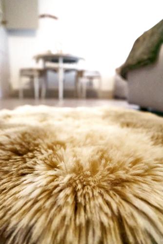 Double Room by Interlaken. Parking in אינטרלאקן Double Room by Interlaken. Parking in אינטרלאקן