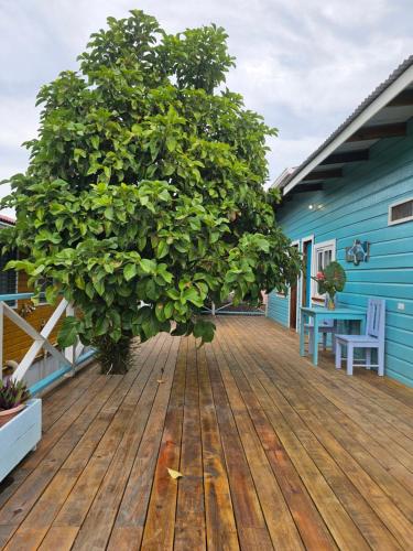 Casa Pelicano in Bocas del Toro Casa Pelicano in Bocas del Toro