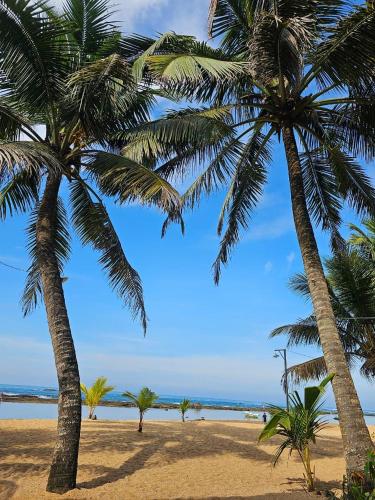 Beach, Paradise Garden Beruwala in Beruwala Beach, Paradise Garden Beruwala in Beruwala