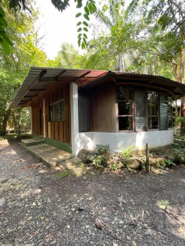 外部景觀, Hotel Ecológico Cabañas del Lago (Hotel Ecologico Cabanas del Lago) in 埃爾艾斯托爾 外部景觀, Hotel Ecológico Cabañas del Lago (Hotel Ecologico Cabanas del Lago) in 埃爾艾斯托爾