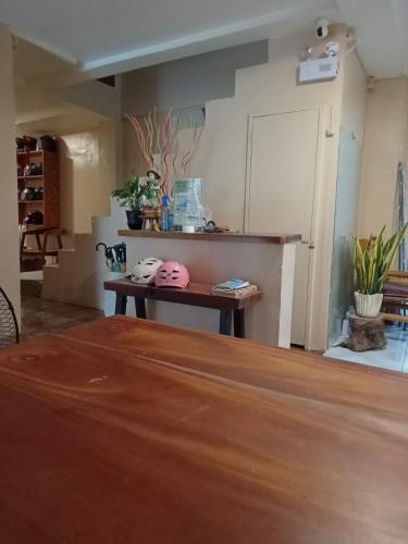 Laguno Bed And Breakfast Hostel in Moalboal Laguno Bed And Breakfast Hostel in Moalboal