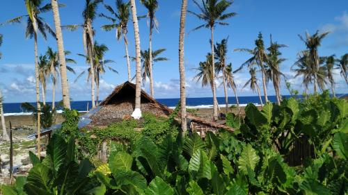 Tarzan's House in Siargao Island Tarzan's House in Siargao Island