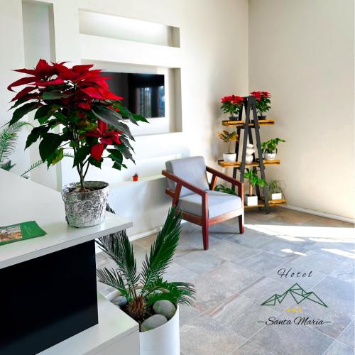 Lobby, Hotel Santa Maria in Taxco Lobby, Hotel Santa Maria in Taxco