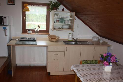 ห้องครัว, Apartment BENCI in จินดริชูฟ ฮราเดค ห้องครัว, Apartment BENCI in จินดริชูฟ ฮราเดค