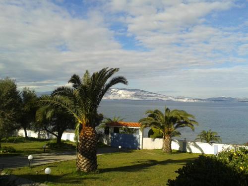 Villa Maria in front of the sea in Arkitsa Villa Maria in front of the sea in Arkitsa