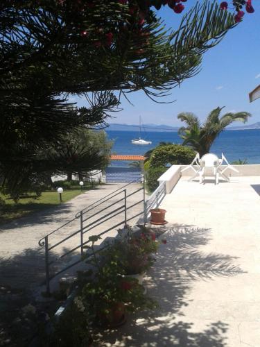 Surrounding environment, Villa Maria in front of the sea in Arkitsa Surrounding environment, Villa Maria in front of the sea in Arkitsa