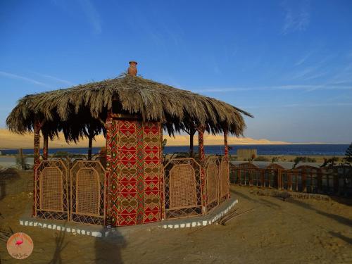 חוף ים, flamingo camp in פאיום חוף ים, flamingo camp in פאיום