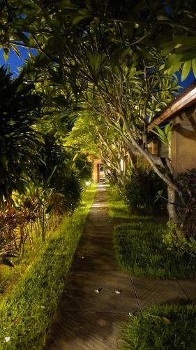 Surrounding environment, Dimpil Homestay in Pemuteran Surrounding environment, Dimpil Homestay in Pemuteran