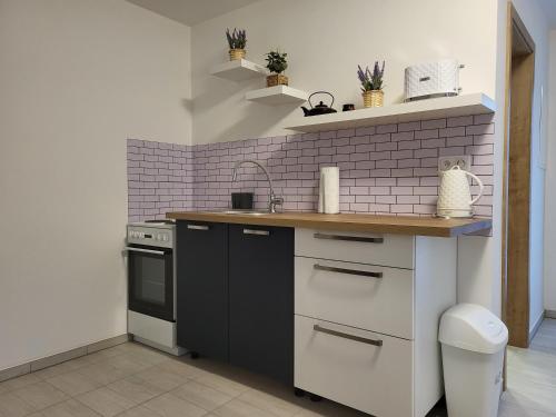 Kitchen, Apartman na Karlicku in Karlov (Vysocina) Kitchen, Apartman na Karlicku in Karlov (Vysocina)