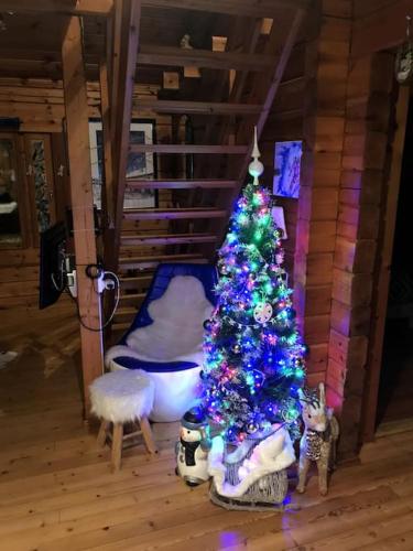 véritable chalet finlandais (veritable chalet finlandais) in Basse Sur Le Rupt véritable chalet finlandais (veritable chalet finlandais) in Basse Sur Le Rupt