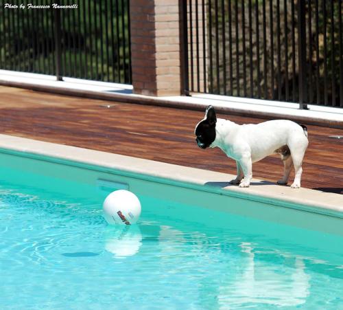 This photo about Lavanda & Rosmarino Apartments shared on HyHotel.com