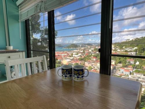 The Green Iguana Hotel in Charlotte Amalie The Green Iguana Hotel in Charlotte Amalie