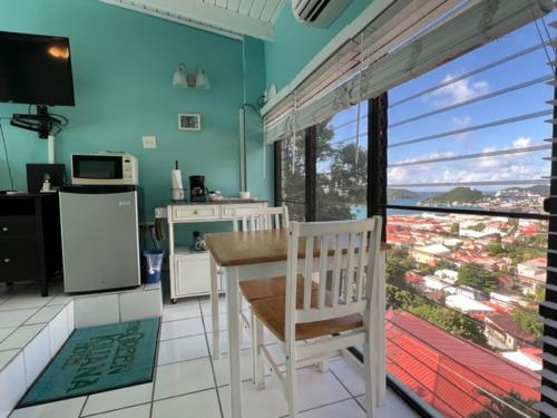 The Green Iguana Hotel in Charlotte Amalie The Green Iguana Hotel in Charlotte Amalie