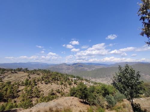 Bloom HomeStay in Almora Bloom HomeStay in Almora