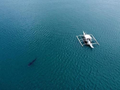 Attractions, Dancalan Beach Resort in Donsol Attractions, Dancalan Beach Resort in Donsol