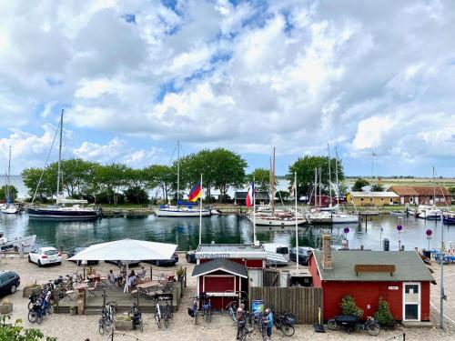 Surrounding environment, Orth B16 - toller Hafen-und Ostseeblick in Orth Surrounding environment, Orth B16 - toller Hafen-und Ostseeblick in Orth