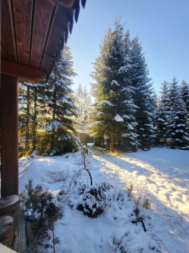 A környék, domek w zaczarowanym lesie in Istebna A környék, domek w zaczarowanym lesie in Istebna