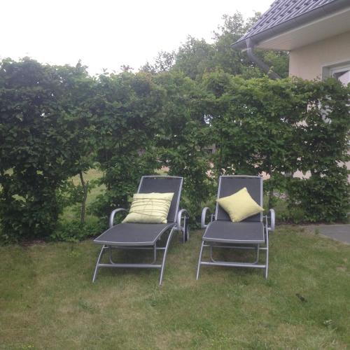 Kert, Urlaubsgluck Familien- & Hunde-Paradies in Rankwitz Kert, Urlaubsgluck Familien- & Hunde-Paradies in Rankwitz